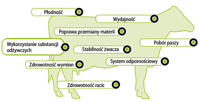 aminotrace